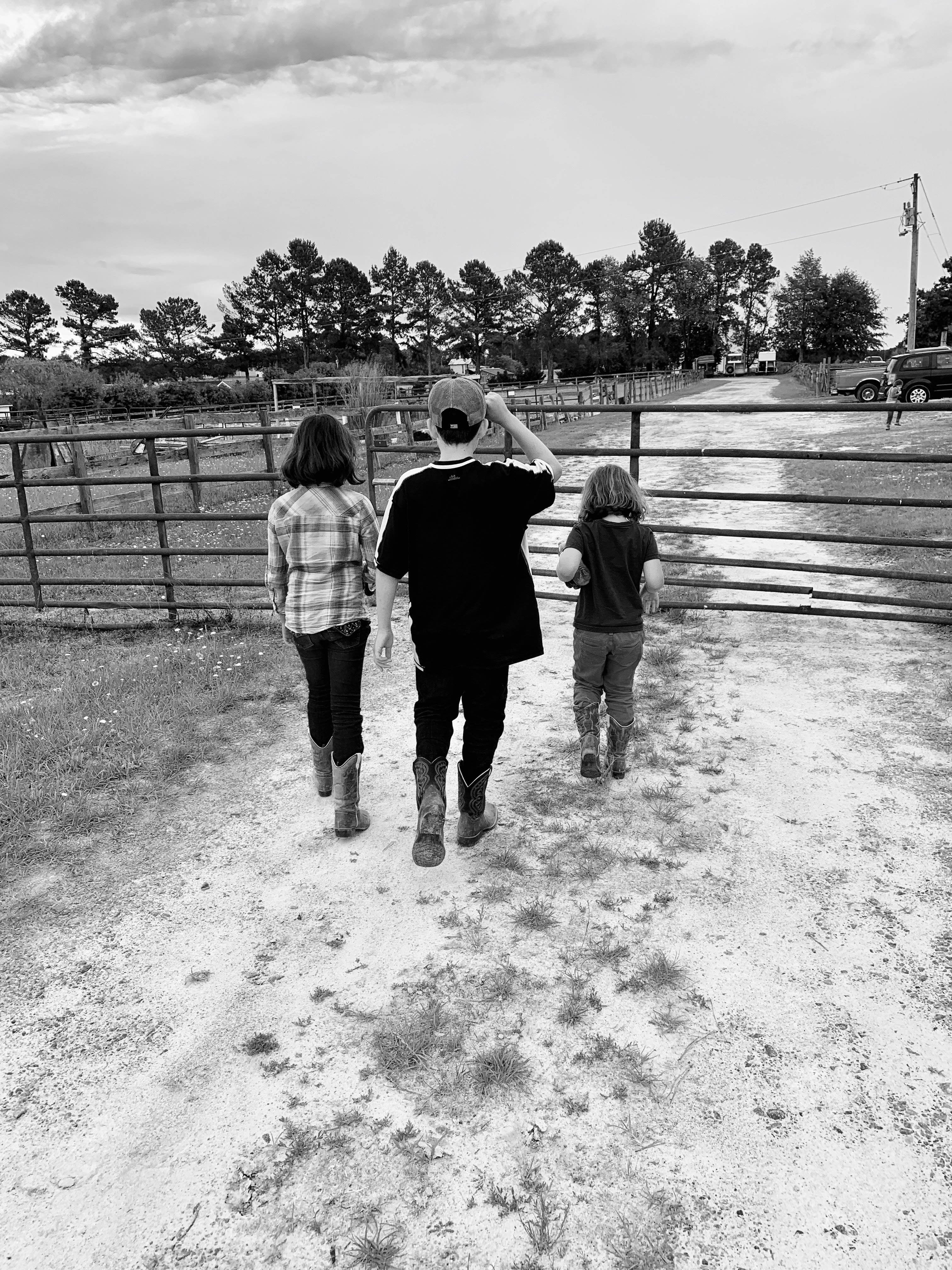 Horseback Riding Camp
